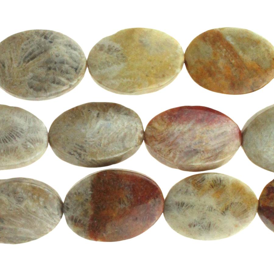 Fossil Coral 10x14mm Oval 8-Inch