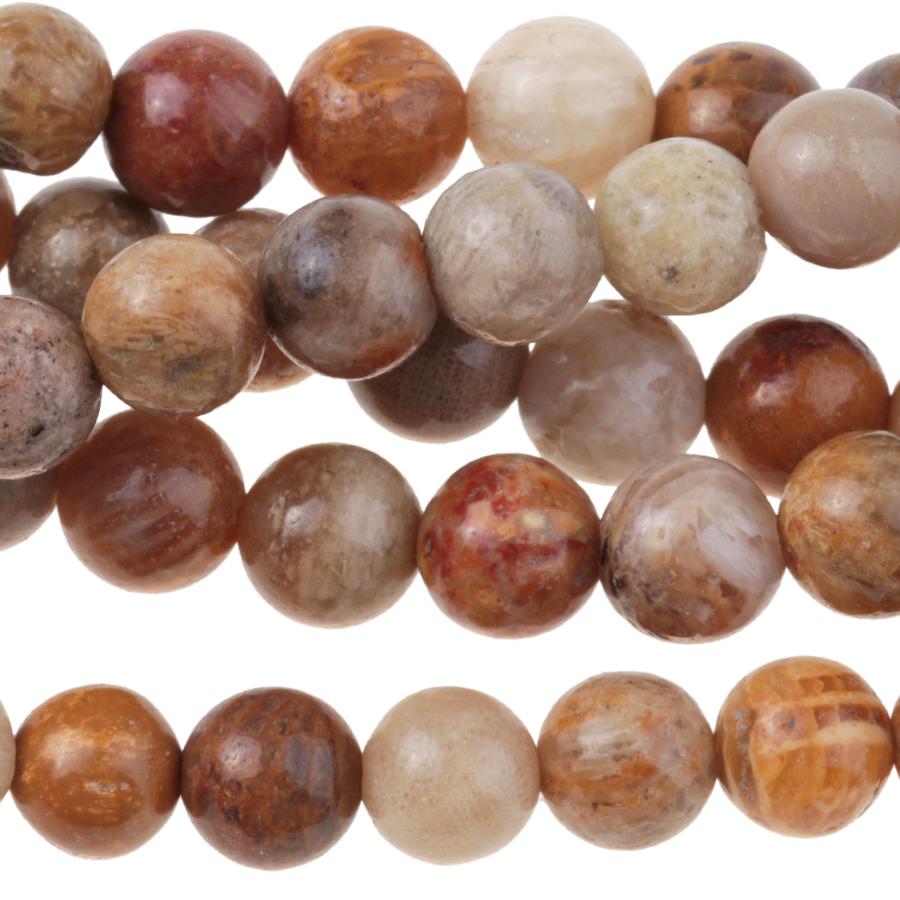 Fossil Coral 6mm Round 8-Inch - Goody Beads