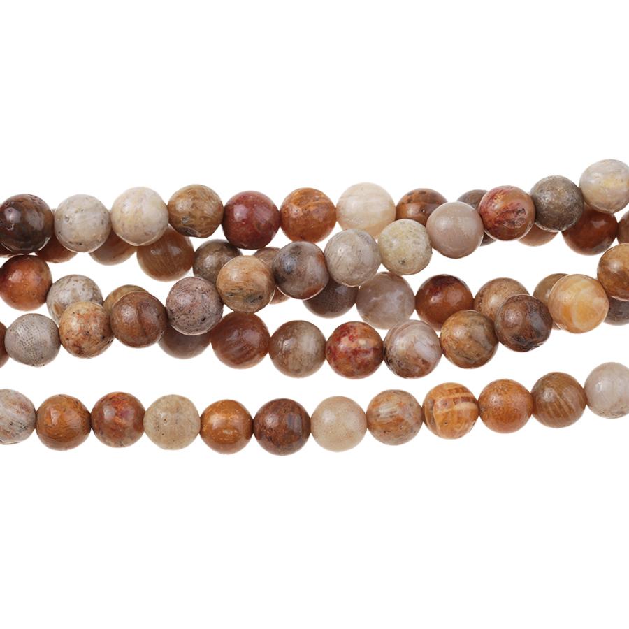 Fossil Coral 6mm Round 8-Inch - Goody Beads