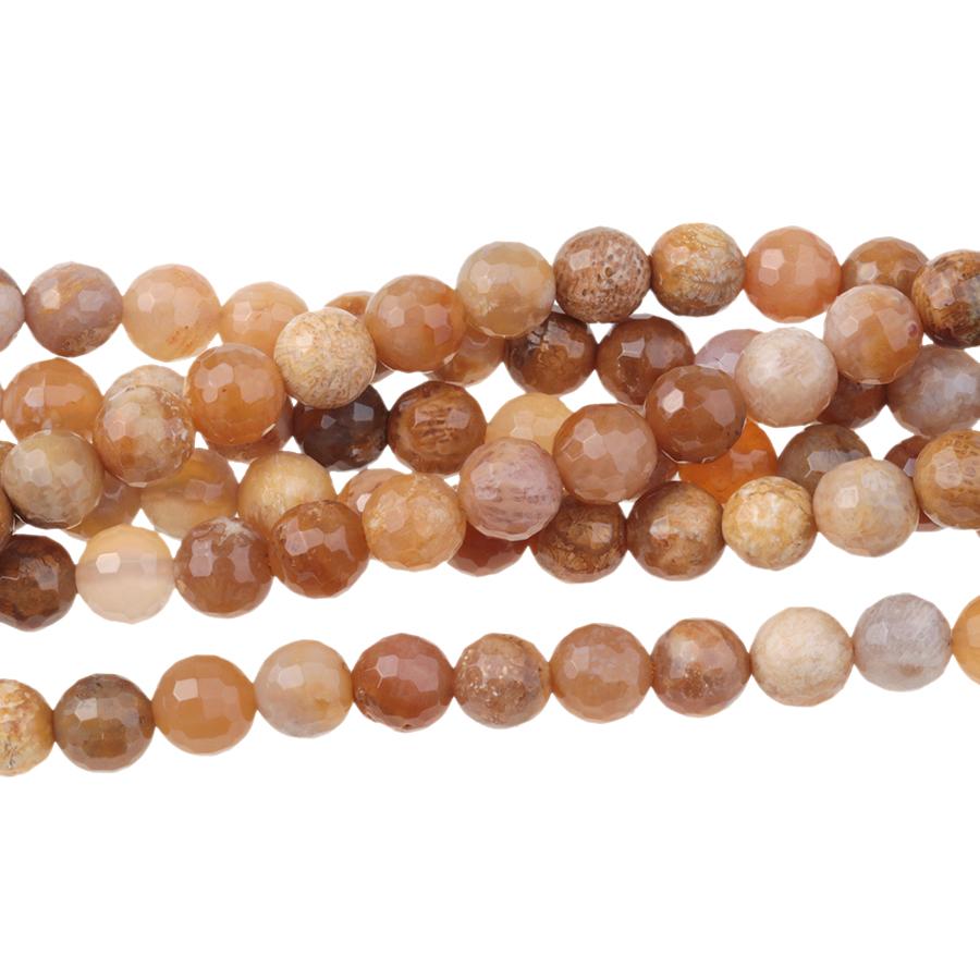 Fossil Coral 6mm Faceted Round 15-16 Inch