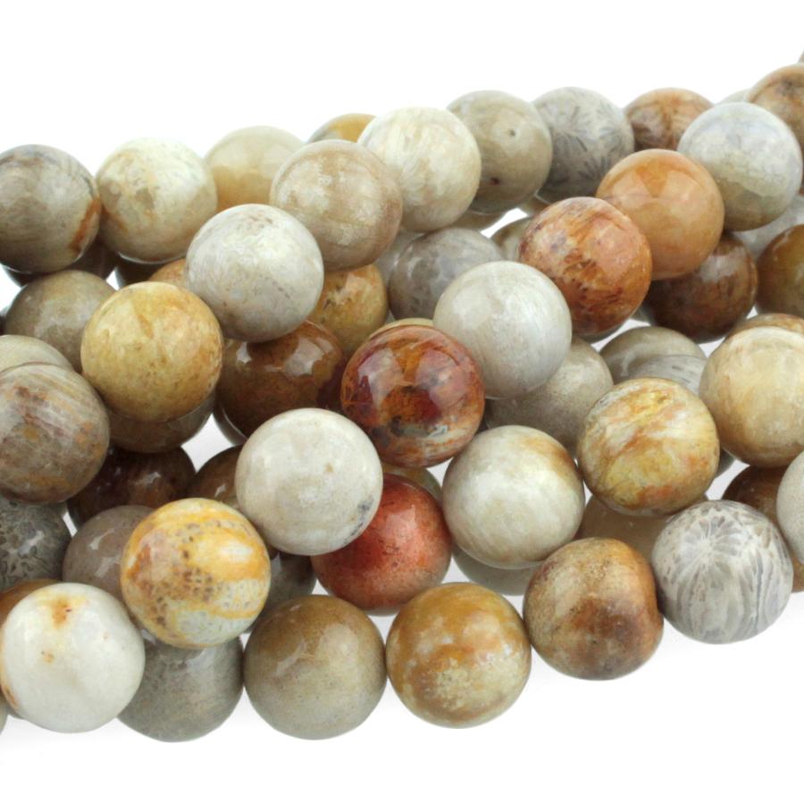 Fossil Coral 8mm Round 8-Inch - Goody Beads