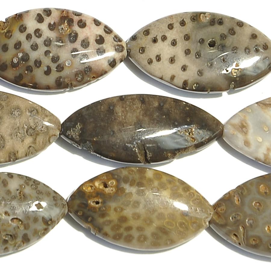 Palm Jasper 12x22mm-12x28mm Marquis