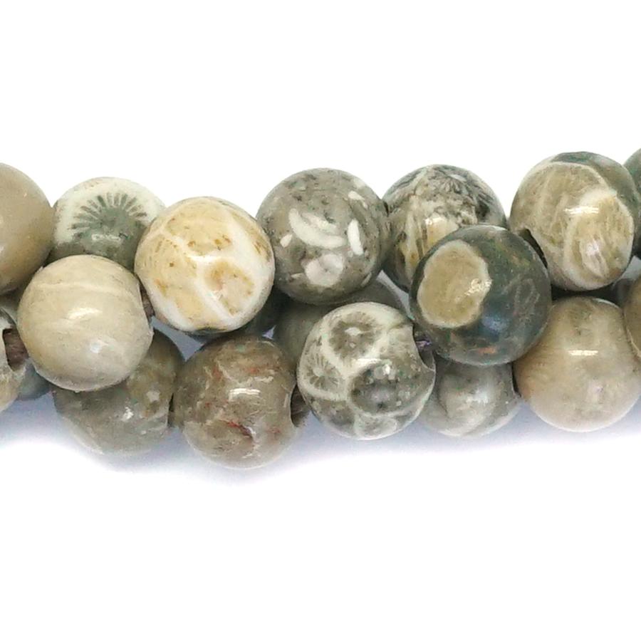 Petoskey Fossil Stone Large Hole 8mm Round - 8-inch