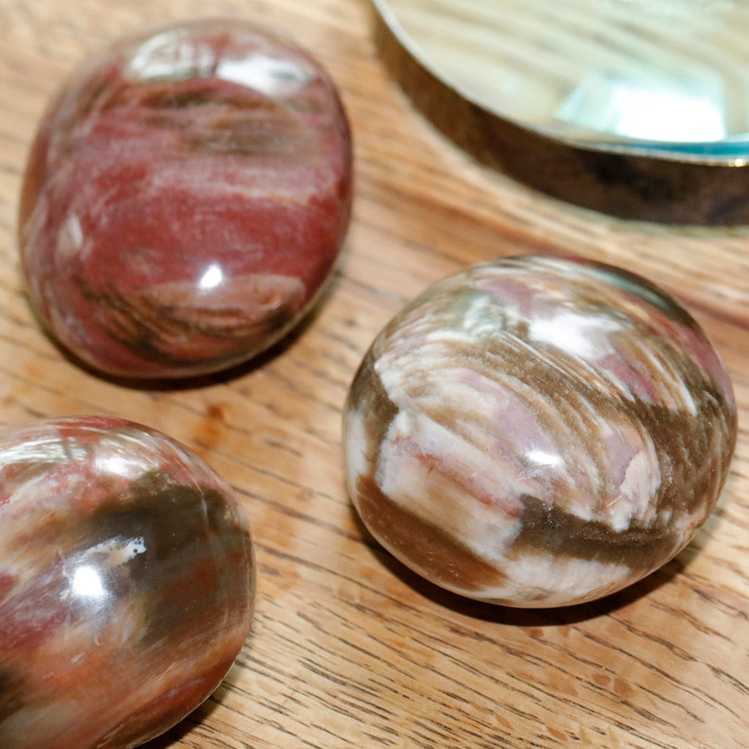 Petrified Wood Agate Pebble Specimen 40x55mm (60-90 grams) - DS ROCK SHOP - Goody Beads