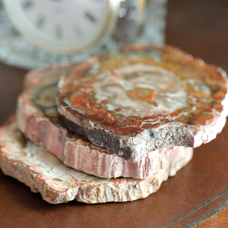 Petrified Wood Agate Set of 4 Drink Coasters 4-5 Inches Each (100-125 grams each) - DS ROCK SHOP - Goody Beads