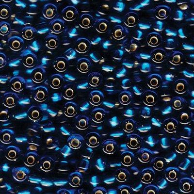 6-9149S Silver Lined Capri Blue Miyuki Seed Beads Tube - Goody Beads