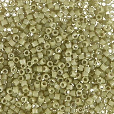 DB2124 11/0 Cactus Duracoat Opaque Dyed Delica Seed Beads Tube - Goody Beads