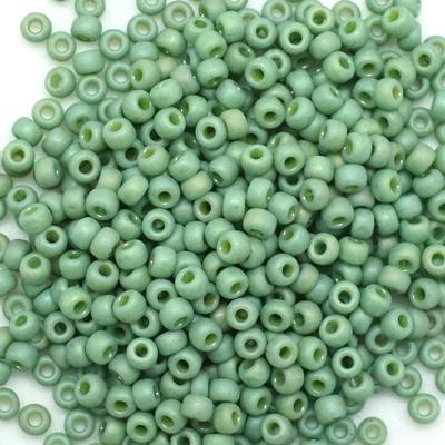 8-94698 Frost Opaque Glaze Rainbow Kiwi 8/0 Round Seed Beads Tube - Goody Beads