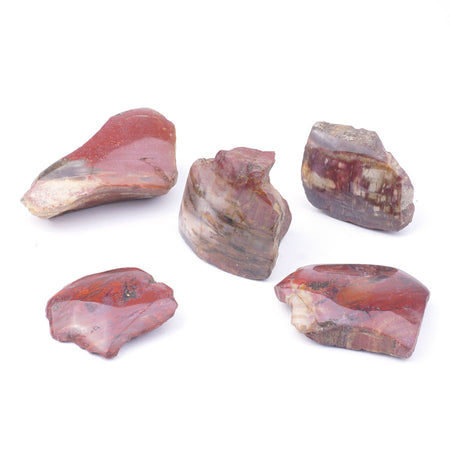 Petrified Wood Rough Nugget Specimen Approx. 30-40x50-65mm 5/pkg - Limited Editions - Goody Beads