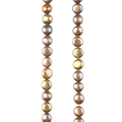 4x7mm Limited Edition Vintage Gold Button Shaped Freshwater Pearl Strand - 15-16 Inch Strand